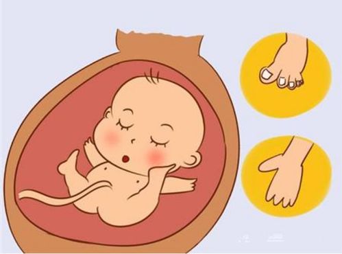 原创孕期抵抗二手烟，孕妈做好这4个准备，有助胎儿健康发育