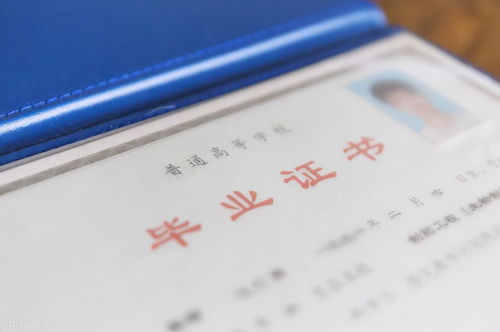 一 二本同时存在于一所大学,毕业证又没区别,学生吐槽意义何在