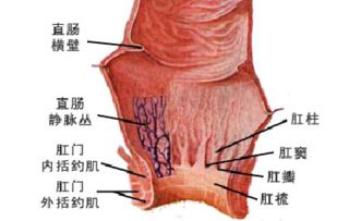 治疗肠癌的办法有哪些