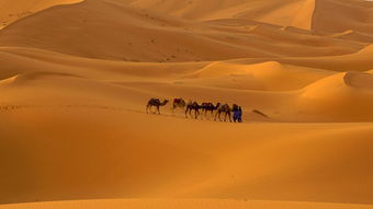 梦见在沙漠里行走是什么意思 