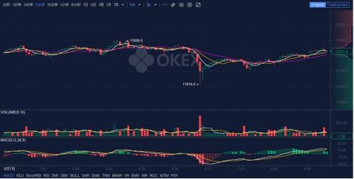 btc合约交易骗局