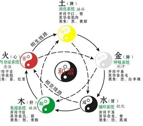 详细分析 生日时辰五行算命查询表,算算你的五行