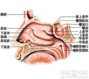 鼻息肉严重吗(鼻息肉严重吗,需要手术吗)