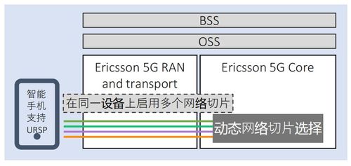 电脑网络查重通道：快速查重，保障学术质量