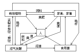 细胞膜透过性试验研究