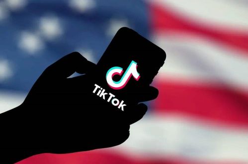 如何提高Tiktok主页链接点击率?_tiktok广告账户开户代理商