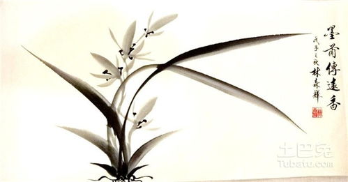 关于梅兰竹菊的诗句和成语