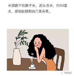 音乐类搞笑冷知识短句(关于音乐的搞笑故事)