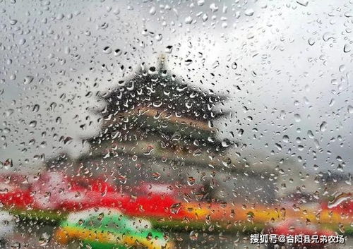 今日谷雨 雨生百谷夏将至