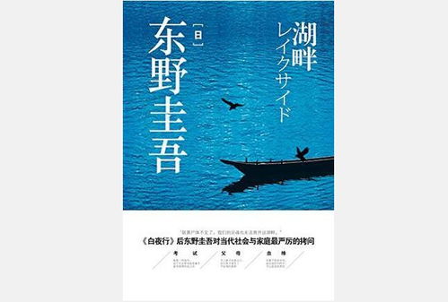 今日推荐一本东野圭吾先生写的引发人家庭教育思考的小说 湖畔