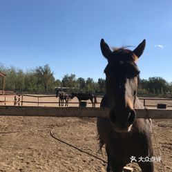 电话,地址,价格,营业时间 北京运动健身 