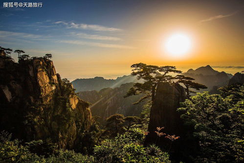 十一准备出去爬山,老驴求推荐,黄山和泰山你们觉得哪个更适合