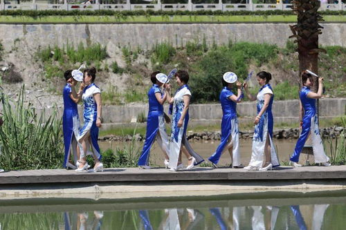 沿着高速看中国陇南 直播陇南 央视 沿着高速看中国 来了