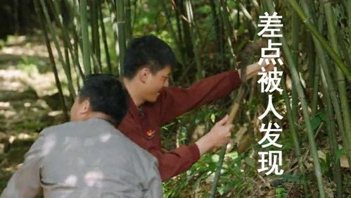 两男子偷砍别人竹子,主人提刀冲出 