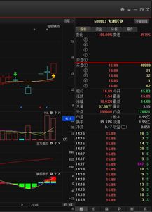 亚中物流成功借壳大洲兴业上市了吗