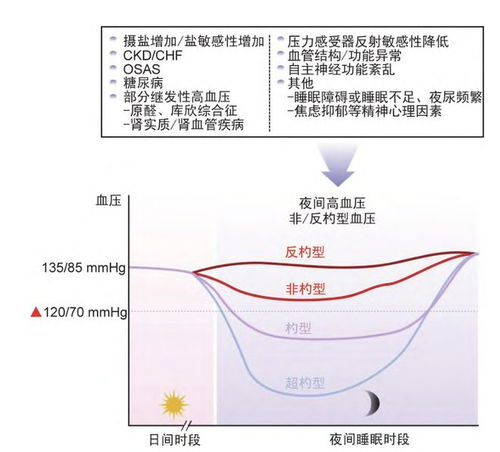 夜间高血压危害更大 新共识 5种新型药物,有助降低夜间血压