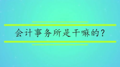 会计事务所是干嘛的 