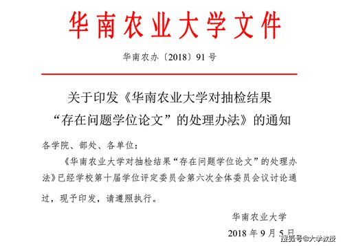 湖南大学三起硕士论文100 抄袭 导师可能是冤大头