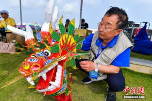 海南首届风筝体育文化节开幕 70余选手竞技 