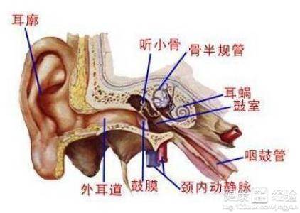 耳鸣总是折磨人,耳鼻喉科医生 鼻窦炎引起的耳鸣这样治