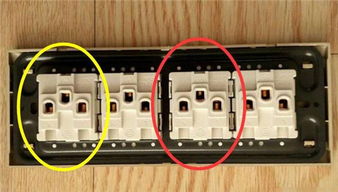 四个联排插座怎么接线