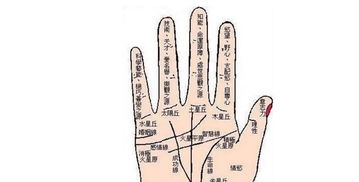 9种男命手形算命方法