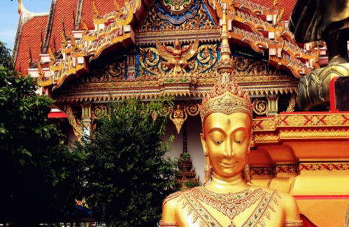为何寺庙禁止游客对佛像拍照呢 原因比较现实,网友 不敢再拍了
