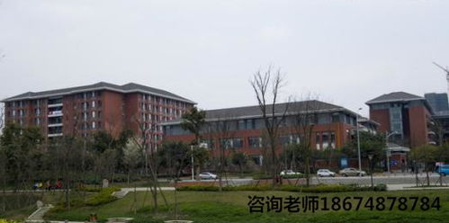 广州职业学校前十名学校，广州卫校中专学校有哪些