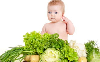 宝宝不吃菜偏食怎么办 宝宝偏食能吃奶粉吗