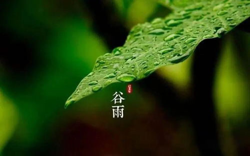 时节 胡立书 正好清明连谷雨