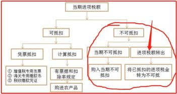 如何从年报中找到企业年应交增值税