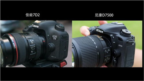 佳能7D2一台被低估得相机,与尼康D7500你选谁 