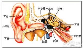 中耳炎的症状与治疗,中耳炎的症状与治疗用什么药