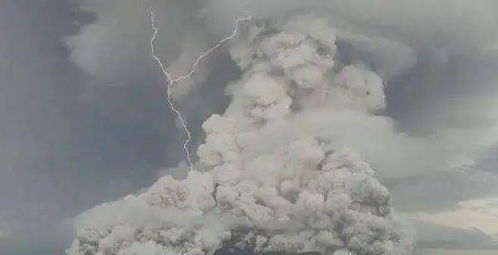 汤加火山喷发影响生态吗？