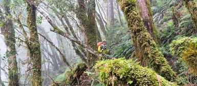 爬山前需要做哪些准备,户外装备 登山技巧 行前需要了解的知识