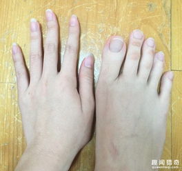 女生脚趾修长如手指好怪异 女子脚趾修长如手指技能也爆表 4