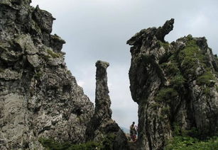 湖北四大旅游景点,美景不容错过,你去过几个