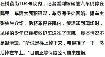 14岁少年小区坠楼,楼下汽车被砸多处凹陷,父亲 我看着他出的门