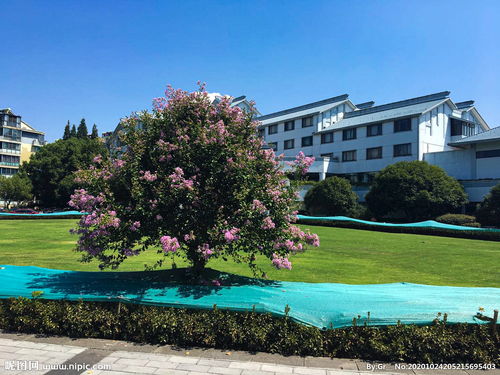 日本神社图片动漫背景 信息图文欣赏 信息村 K0w0m Com