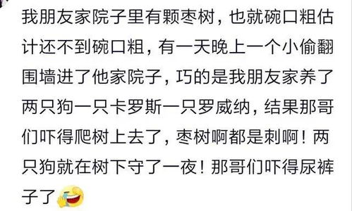 你家里进过小偷吗 把我朋友都气乐了,这小偷素质还挺高 