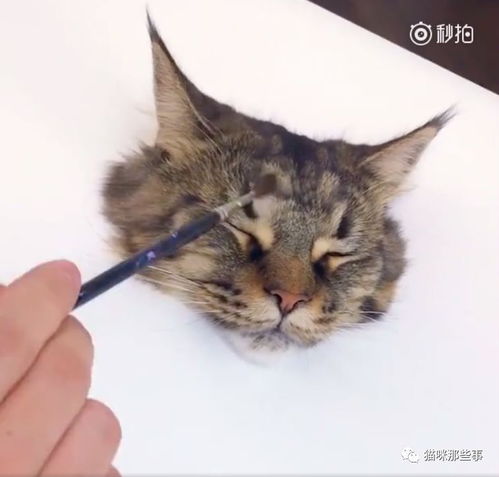 是时候教教大家怎样画猫了,特别简单,油画质感,3D效果,包你学会 