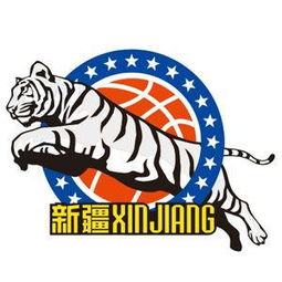 来了,来了,真的来了 蔡崇信全资收购篮网,周琦能否重返NBA 内线 