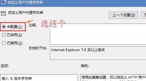 win10内置flash无显示