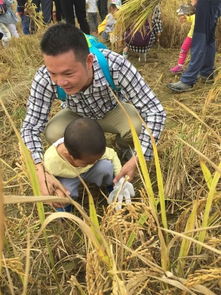 ECA秋季亲子活动 我和农场有个约会