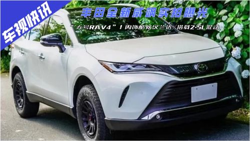 大号RAV4 丰田全新威飒实拍曝光,内饰酷似汉兰达 搭2.5L混动 