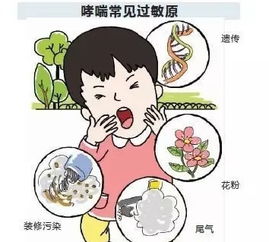 哮喘,过敏与菌群紊乱