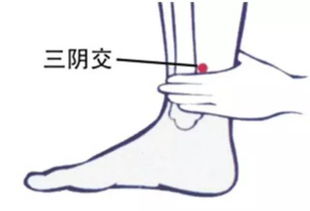 今日寒露 周末,冷空气到货 养生 