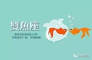 专业占星 非典型网红的互联网创业史 创业那些坑 