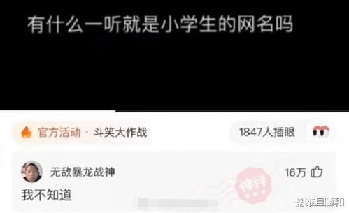 有什么一听就是小学生的网名吗 无敌暴龙战神 我不知道