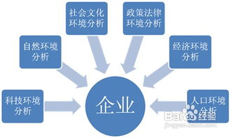 企业如何做市场调研？